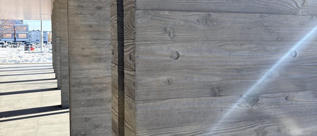 杉板ピロティの風景